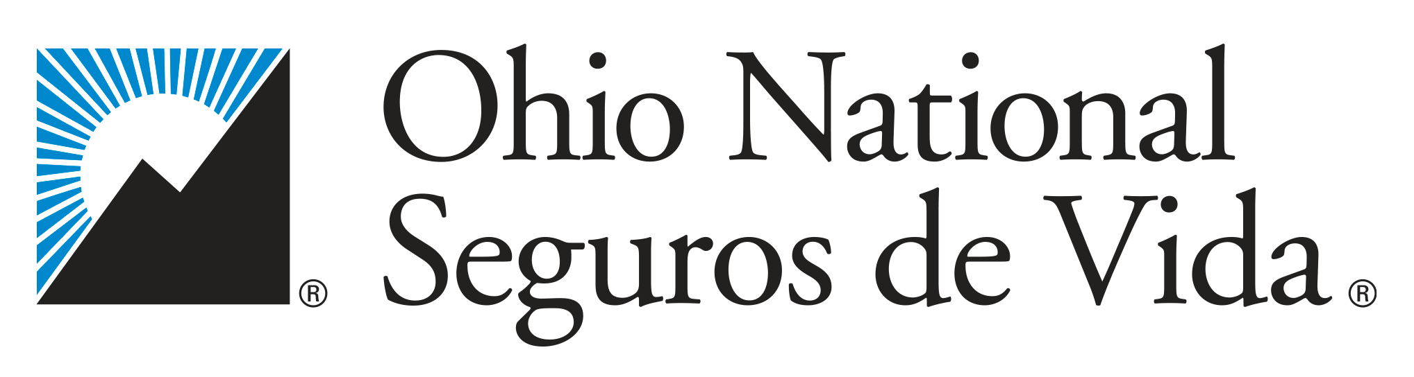 Logo Partner